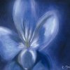 Orchidée bleue 2